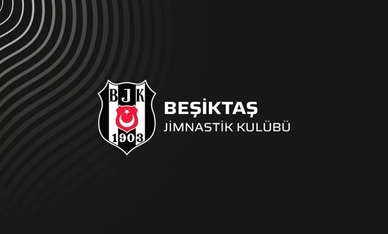 Beşiktaşlı Akademisyenler: Hesap soracak başkan istiyoruz